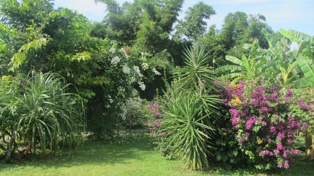 Cabanas Los Colibris San Carlos Zewnętrze zdjęcie